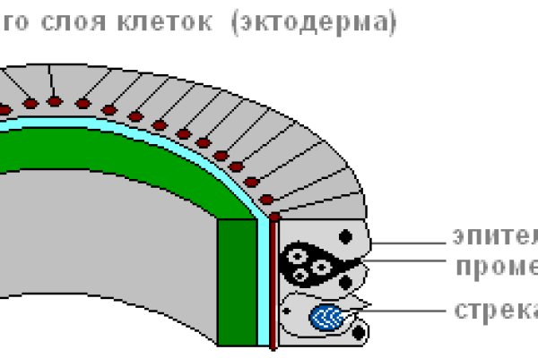 Как зайти в кракен с андроида