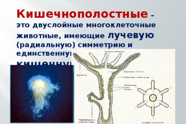 Как отличить оригинальный сайт кракена