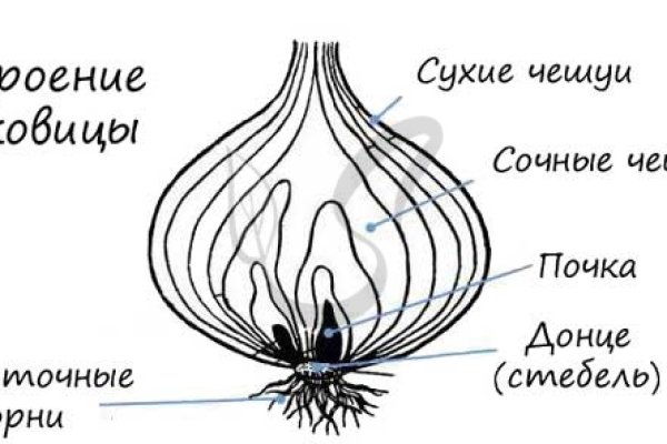 Кракен ссылка на тор официальная онион